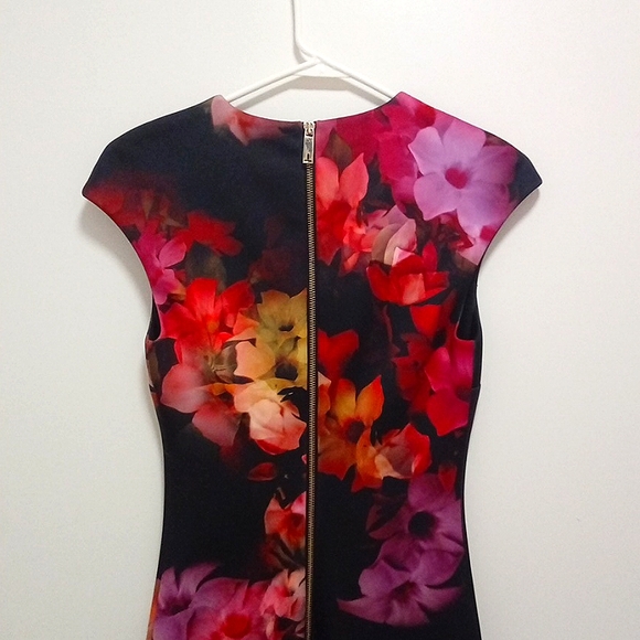 NWT! Ted Baker Catina Cascading Floral Sheath Ted 1(US 4) - Picture 5 of 15
